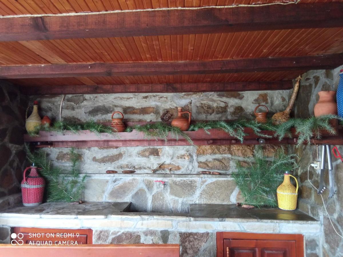 Дядо Цоньовата къща Villa Севлиево Екстериор снимка
